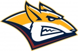 Metallurg Magnitogorsk logo