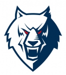 Neftekhimik Nizhnekamsk logo