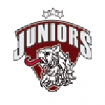 HK Dinamo Juniors logo