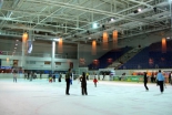 Ice Hall, Ice Arena TEC Dafi. Kharkiv logo