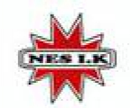 Nes Ishockeyklubb logo