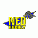 NED Hockey Nymburk logo