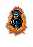 Nottingham Panthers logo