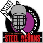 CH Steel Acorns Valdemoro logo