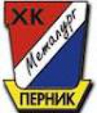 HC Metalurg Pernik logo