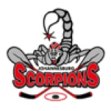 Scorpions Johannesburg logo
