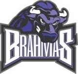 Texas Brahmas logo