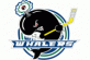 Detroit Whalers logo