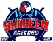Abu Dhabi Shaheen Falcons logo