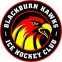 Blackburn Hawks logo