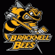 Bracknell Bees logo