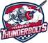 Evansville Thunderbolts logo