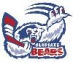 Gladsaxe Bears logo