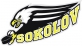 HC Baník CHZ Sokolov logo