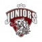 HK Juniors Riga logo