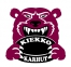 Kiekko-Karhut Virrat logo