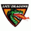 IJCU Dragons Utrecht logo