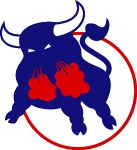 Birmingham Bulls WHA logo