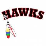 Elsipogtog Hawks logo