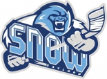 Gaylord Snow logo