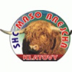 SHC Klatovy logo