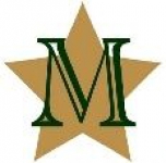 Michigan Stars logo