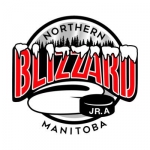 OCN Blizzard logo