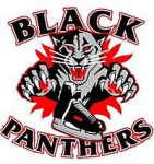 Port Moody Panthers logo