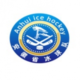 Anhui Xinhua logo