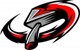 Milton Keynes Thunder logo