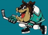 Boston Bulldogs logo