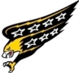 Brantford Eagles logo