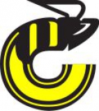 Cincinnati Stingers logo