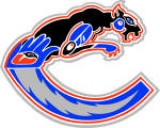 Creston Valley Thunder Cats  logo