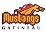 Gatineau Mustangs logo