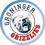 GIJS Bears Groningen logo