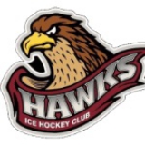 Latvian Hawks logo