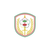 N.Z.A. Tehran logo