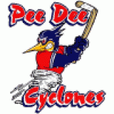 Pee Dee Cyclones logo