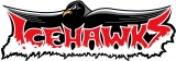 Pretoria Icehawks logo