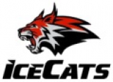 Ice Cats Qatar logo