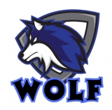 Taipei Wolves logo