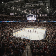 KHL, DEL, National League and SHL set new attendance record in 2024/25 season