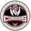 Bakersfield Jr. Condors logo