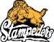 Hardisty Stampeders logo