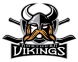 Northern Vikings IHC Perth logo