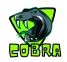 Taipei Cobra logo