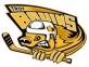 Troy Bruins logo