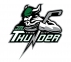 Twin City Thunder logo